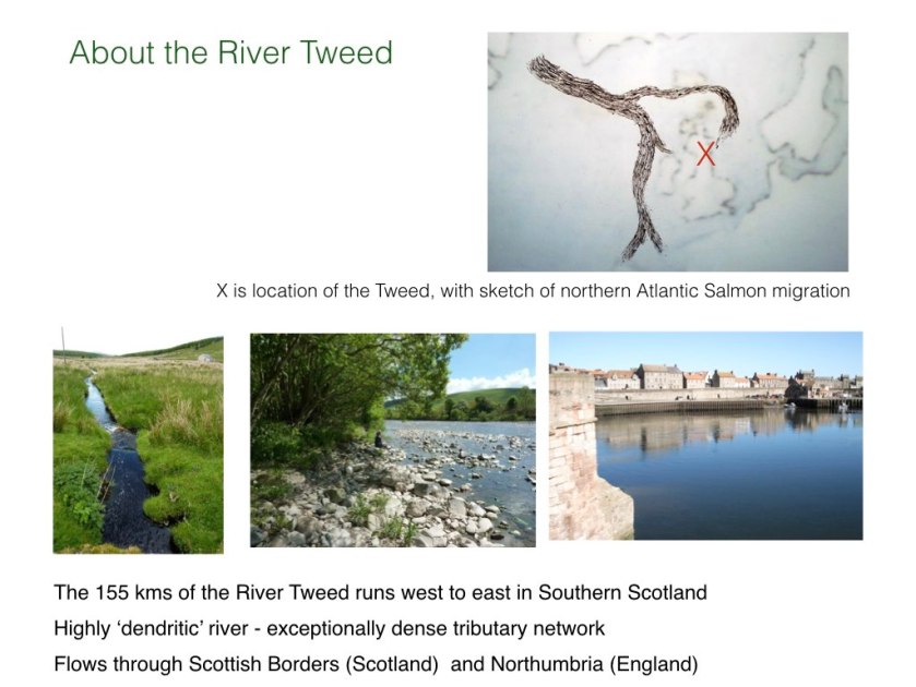 BUND talk slides.006